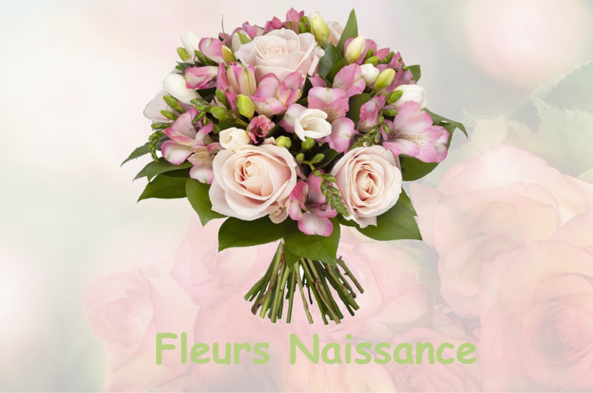 fleurs naissance BOUQUEMONT